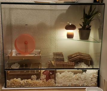 Custom Glass Hamster Enclosure beschikbaar voor biedingen