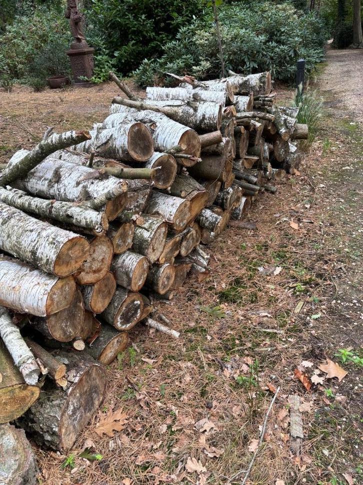 Haardhout berken Stookhout kachelhout, Tuin en Terras, Haardhout, Stammen, Berkenhout, 3 tot 6 m³, Ophalen