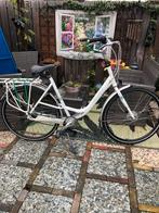 Witte Gazelle bloom 58cm opknapper., Ophalen, Gebruikt, 56 cm of meer, Gazelle