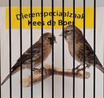 Koppeltje barmsijzen, Meerdere dieren, Tropenvogel, Geringd