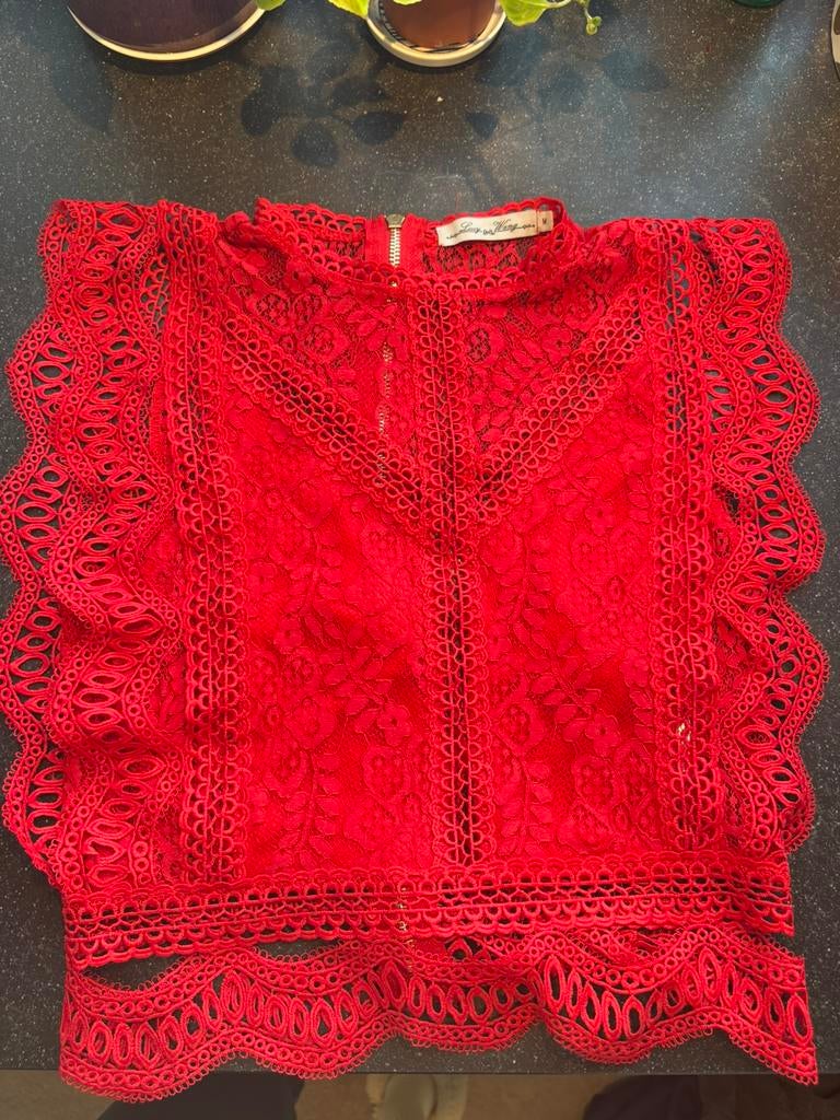 Rode kanten top. Maat M. Deels doorschijnend., Kleding | Dames, Tops, Nieuw, Maat 38/40 (M), Rood, Korte mouw, Ophalen of Verzenden
