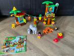 Duplo tropisch eiland 10906, Ophalen of Verzenden, Zo goed als nieuw, Complete set, Duplo