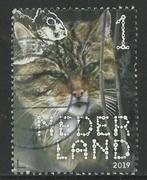 Nederland 2019 kat achtige, Na 1940, Ophalen, Gestempeld