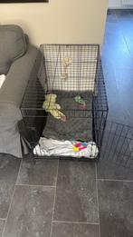 Hondenbench XL, Dieren en Toebehoren, Hondenbenches, Ophalen of Verzenden, Zo goed als nieuw