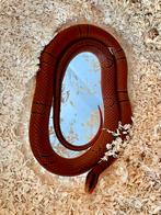 0.1 Oreocryptophis pulchra / pulcher 2024, Slang, 0 tot 2 jaar