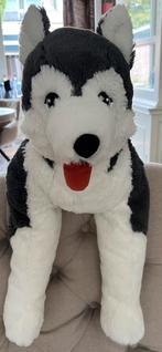 Grote Husky knuffel 57 cm - €6,-, Kinderen en Baby's, Speelgoed | Knuffels en Pluche, Ophalen, Zo goed als nieuw, Overige typen