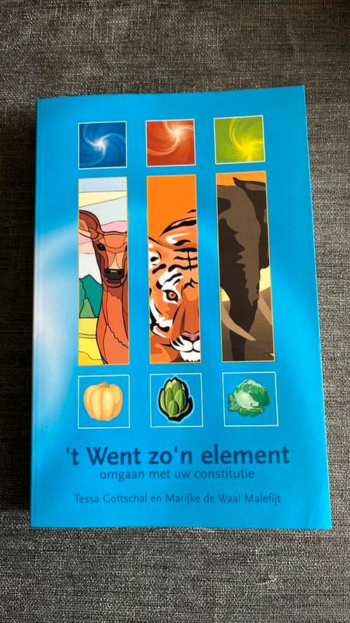 Tessa Gottschal - 't Went zo'n element, Boeken, Esoterie en Spiritualiteit, Zo goed als nieuw, Achtergrond en Informatie, Ophalen of Verzenden
