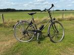 Koga Miyata Forest Lady, Fietsen en Brommers, Fietsen | Dames | Damesfietsen, Versnellingen, Ophalen, Overige merken, 53 tot 56 cm