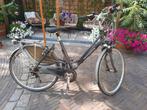 Gazelle Damesfiets - Gebruikt, Ophalen, Versnellingen, Gazelle, 53 tot 56 cm