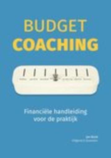Budgetcoaching. Financiele handleiding voor de praktijk