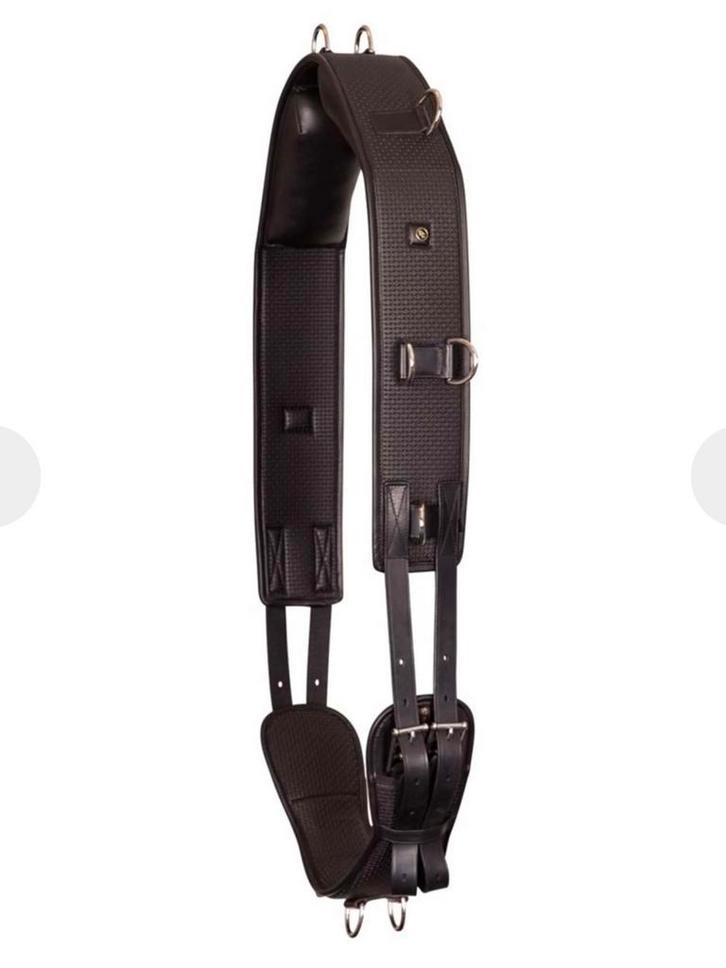 BR Longeersingel Gentle Zwart met BR longeerpad, Dieren en Toebehoren, Paarden en Pony's | Hoofdstellen en Tuigage, Dressuur, Ophalen of Verzenden