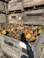 Gezaagd appelhout - dikke stammen in bakken, Minder dan 3 m³, Ophalen, Overige houtsoorten, Stammen