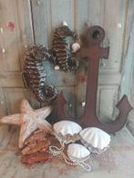 12  stuks etalage materiaal Papier-mache, vis, zee,strand, Ophalen of Verzenden