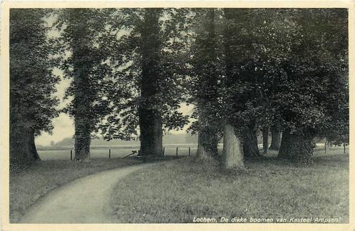 (387-214-023) Lochem Kasteel Ampsen, Verzamelen, Ansichtkaarten | Nederland, Gelderland, Verzenden