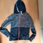 Vest 36 s merk superdry, Verzenden, Zo goed als nieuw, Maat 36 (S), Blauw