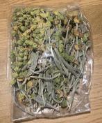 Thee, Verzenden, Overige typen, Nieuw, Glas