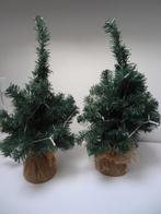 2 leuke kerstboompjes incl verlichting 50cm, Ophalen of Verzenden, Gebruikt