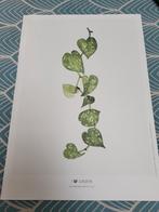 A4 intratuin i love groen epipremnum pictus Elles Rodenburg, Ophalen of Verzenden, Zo goed als nieuw