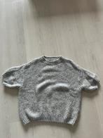 TESS V TRUITJE NIEUW!!, Kleding | Dames, Tops, Ophalen of Verzenden, Nieuw, Grijs, Lange mouw