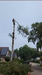 Boom of bomen kappen klimmend zagen verwijderen boomkappen