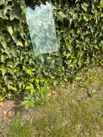 Glas glasplaten glazen platen glas stelling glas, Doe-het-zelf en Verbouw, Glas en Ramen, Ophalen, Zo goed als nieuw, Minder dan 80 cm