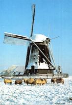 (NH528) Ansichtkaart Wormer molen De Koker 1984, Verzenden, 1980 tot heden, Gelopen, Noord-Holland