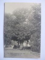 M69 Bergen NH - Oude Lindeboom - 1925, Verzenden, 1920 tot 1940, Gelopen, Noord-Holland