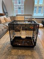 Volledige vogel toebehoren, Ophalen, Zo goed als nieuw, Kooi-accessoires