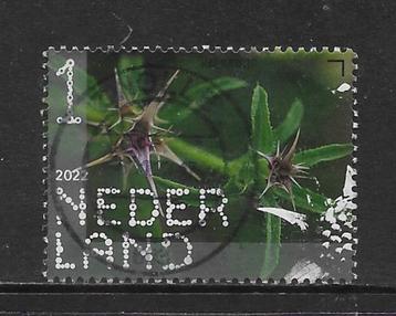 2022, Sint-Pietersberg, Kalketrip [4035] (K0801) beschikbaar voor biedingen