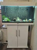 aquarium, Ophalen of Verzenden, Zo goed als nieuw, Leeg aquarium