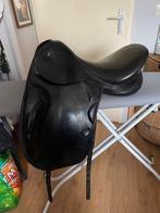 Prestige doge 17, Dieren en Toebehoren, Ophalen of Verzenden