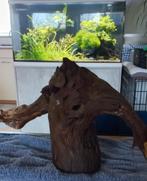 Stuk hout voor aquarium evt met pluk levermos, Dieren en Toebehoren, Vissen | Aquaria en Toebehoren, Ophalen, Gebruikt, Plant(en), Steen of Hout