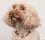 Handgemaakte Honden kralenketting maat S, Dieren en Toebehoren, Ophalen of Verzenden, Nieuw