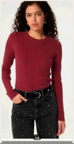 Fabienne Chapot Lillian pullover/ trui maat S *nieuw *, Fabienne Chapot, Ophalen of Verzenden, Nieuw, Maat 36 (S)