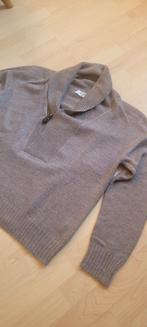 Zara Bruine Trui Heren Maat L, Kleding | Heren, Maat 52/54 (L), Ophalen of Verzenden, Gedragen, Bruin