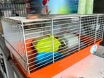 Hamster kooi, Dieren en Toebehoren, Kooi, Minder dan 75 cm, Zo goed als nieuw, Hamster