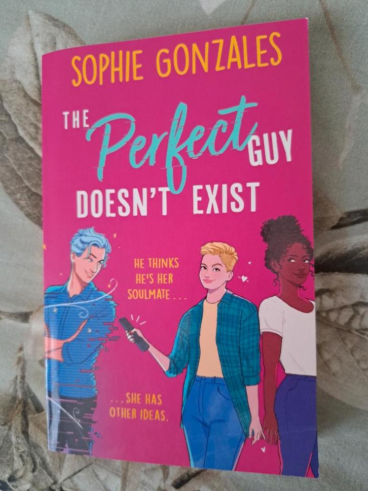 The Perfect Guy Doesn't Exist - Sophie Gonzales, Boeken, Romans, Zo goed als nieuw, Wereld overig, Ophalen of Verzenden