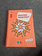 Rinze van der Lei - Muziek Meester!, Rinze van der Lei; Lieuwe Noordam; Frans Haverkort, Ophalen of Verzenden, Zo goed als nieuw