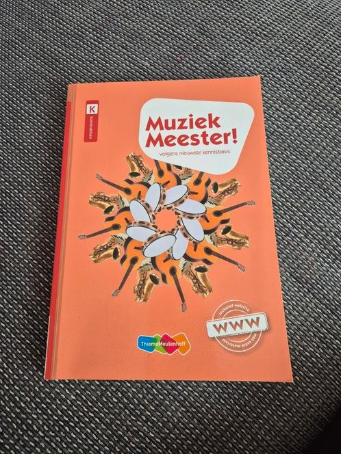 Rinze van der Lei - Muziek Meester!, Boeken, Schoolboeken, Zo goed als nieuw, Muziek, Overige niveaus, Ophalen of Verzenden