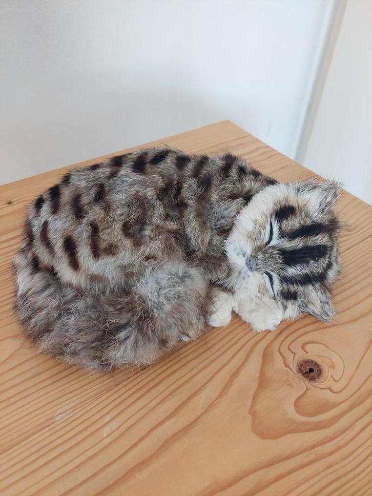 Zachte Namaak Kat - Realistisch en Knuffelbaar, Huis en Inrichting, Woonaccessoires | Overige, Nieuw, Ophalen