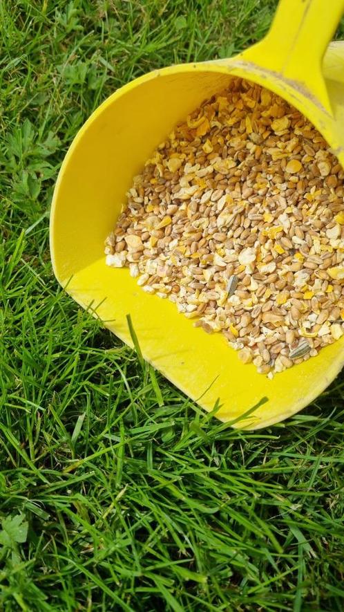 Scharrelgraan 25 kg, Dieren en Toebehoren, Dierenvoeding, Ophalen of Verzenden