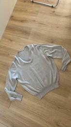 Gran Sasso trui maat L, Kleding | Heren, Maat 52/54 (L), Ophalen of Verzenden, Grijs, Gran Sasso