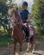 De allerliefste kinder knuffel pony! Lady luna❤️, Dieren en Toebehoren, Niet van toepassing, A pony (tot 1.17m), 3 tot 6 jaar
