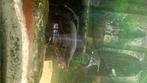 Groupe arowana albinos, Dieren en Toebehoren, Vissen | Aquariumvissen, Vis, Zoetwatervis