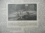 Artis. Pinguins. 1922., Ophalen of Verzenden, 1920 tot 1940, Nederland, Knipsel(s)