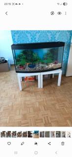 Juwel aquarium terrarium hamsterbak, Dieren en Toebehoren, Ophalen of Verzenden, 75 tot 110 cm, Kooi, Minder dan 60 cm