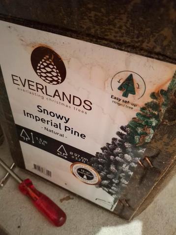 Kerstboom Everlands  beschikbaar voor biedingen