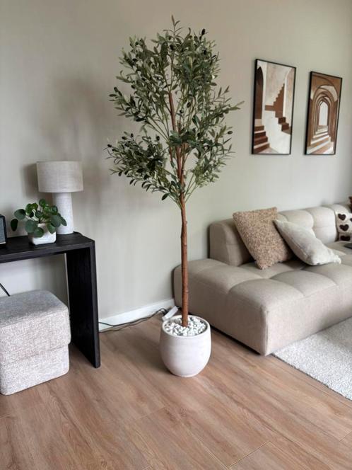 Olijfboom kunstplant 180 cm, Huis en Inrichting, Woonaccessoires | Kunstplanten en Kunstbloemen, Zo goed als nieuw, Binnen, Ophalen