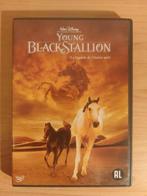 Young Black Stallion - Disney Avontuur, Cd's en Dvd's, Dvd's | Avontuur, Alle leeftijden, Ophalen of Verzenden, Zo goed als nieuw