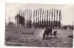 Vorstenbosch dorpszicht 1971. Landleven met paard en veulen., Verzamelen, Ansichtkaarten | Nederland, Verzenden, 1960 tot 1980